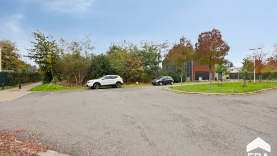 Beiaardgalm - ZN - - 3920