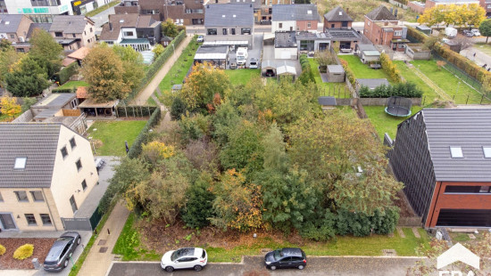 Beiaardgalm - ZN - - 3920