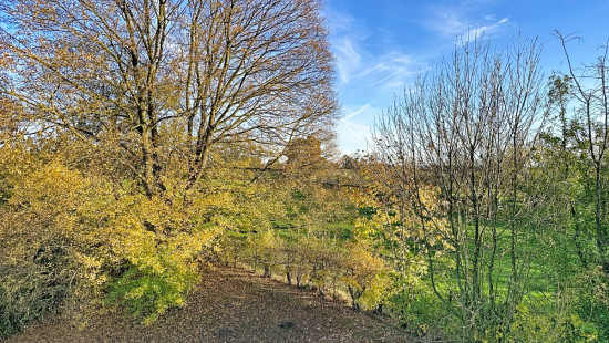 Rue Sur les Keyeux - 17 - 5 - 4630