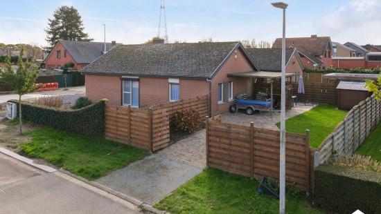 Koningsstraat - 6 - - 3900