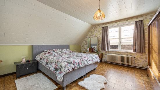 Heilluizerweg - 2 - - 2310