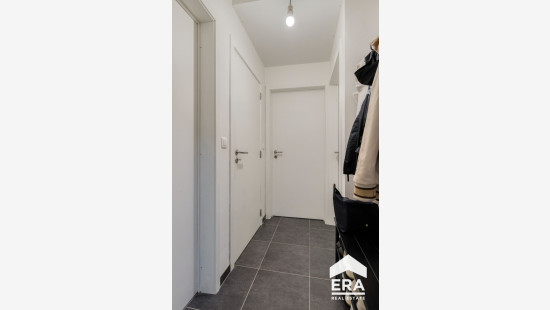 Zammelseweg - 183B - 1 - 2440