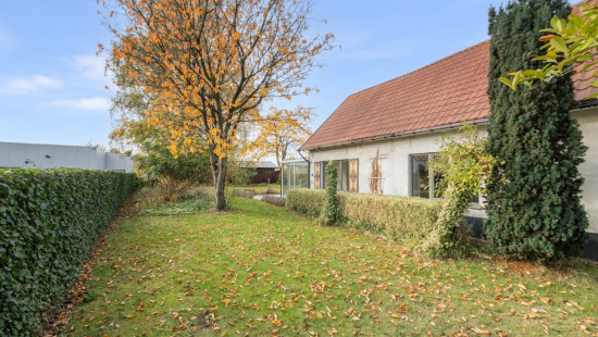 Bellestraat - 47 - - 9100