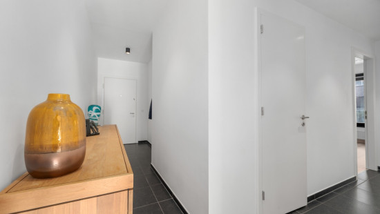 Begijnhofstraat - 2 - 103 - 9160