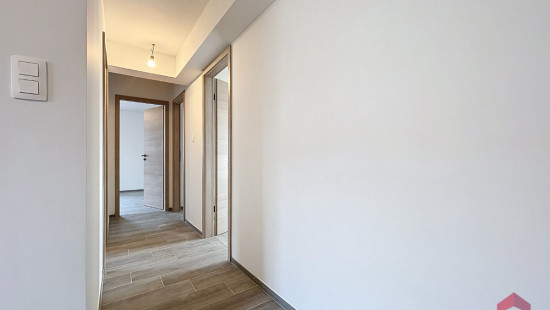 Grand&#039;route de Ciney - 89 - - 5503