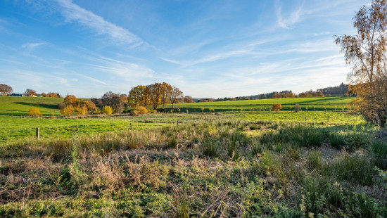 Rue du Baillet - 13 - - 6970