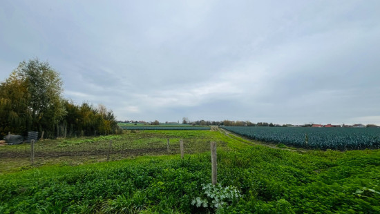 Oostrozebekestraat - 167-173 - LOT 1 - 8760