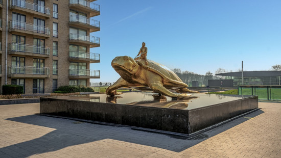 Franslaan NOVUS PORTUS - 12 - 0201 - 8620