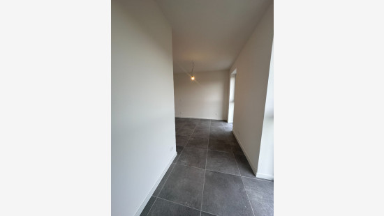 Emilia Biddeloostraat - 46 - 8 - 2440