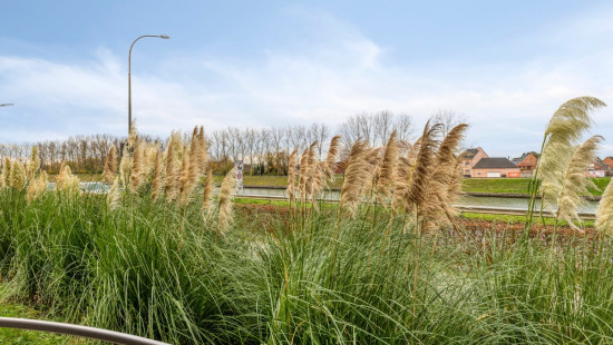 Brielen - 35 - - 2830