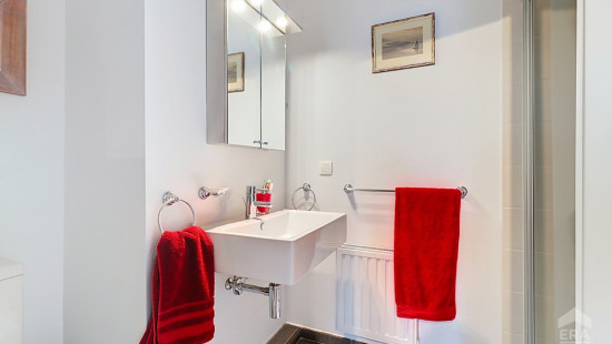 Rue du Paradis - 41 - - 1420