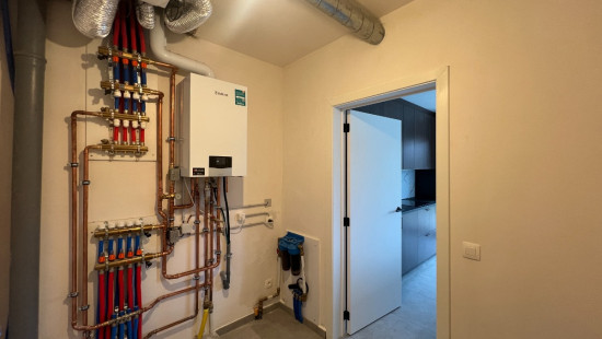 Spijbelveld - 6 - - 3990