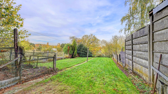 Optielt - 12 - - 3390