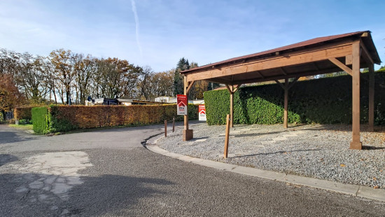 Tier de Rinze - 37 - 108 - 6940