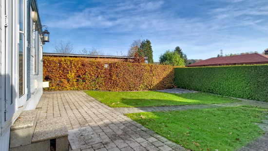 Tier de Rinze - 37 - 108 - 6940