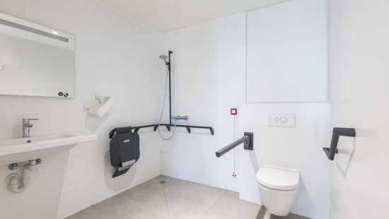 Koninginnelaan - 100 - 01.04 - 8670