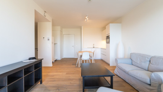 Koninginnelaan - 100 - 01.04 - 8670