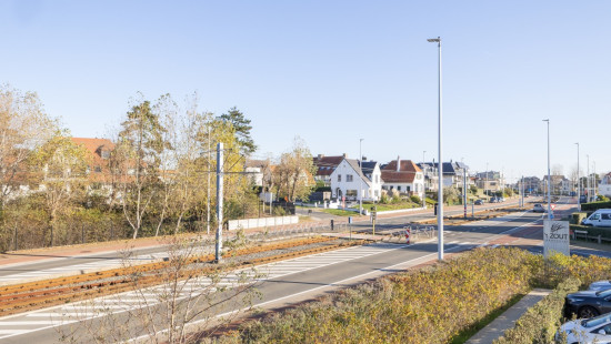 Koninginnelaan - 100 - 01.04 - 8670