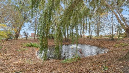 Wulpendammestraat - 4 - - 8670