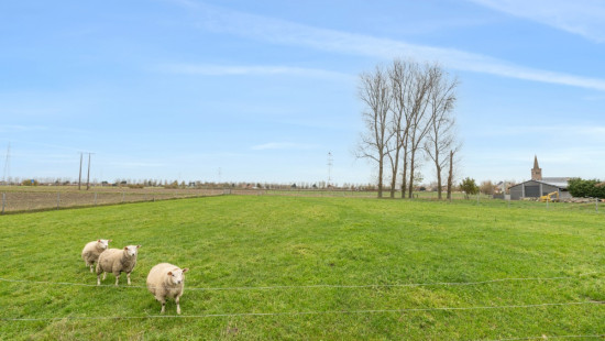 Wulpendammestraat - 4 - - 8670