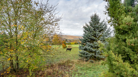 Chemin des Emontys - 4 - - 6980