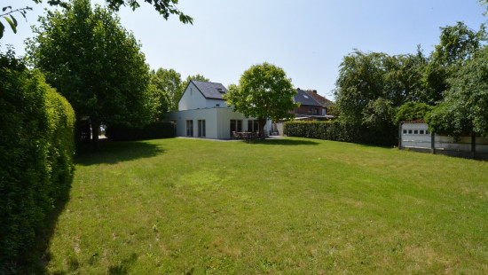 Boekterheide - 31 - - 1275 - 3550