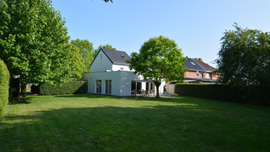 Boekterheide - 31 - - 1275 - 3550