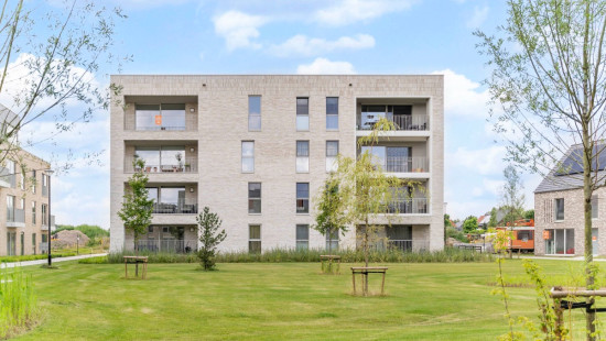 Emilia Biddeloostraat - 46 - 8 - 2440