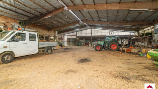 Rue de Renaix - 159 - - 7890