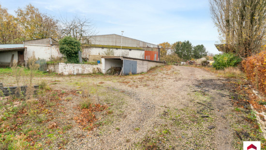 Rue de Renaix - 159 - - 7890