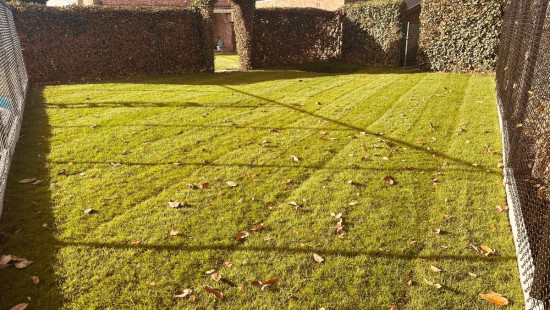 Beringersteenweg - 24 - 4 - 3520