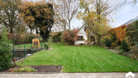 Hayenhoek - 80 - - 3910