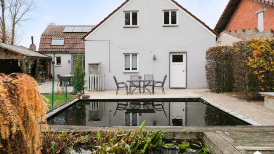 Hayenhoek - 80 - - 3910