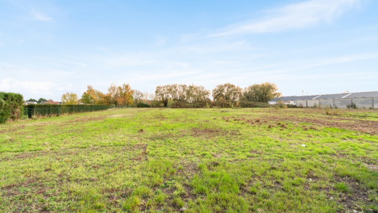 Rossevaalstraat - 91 - - 9280