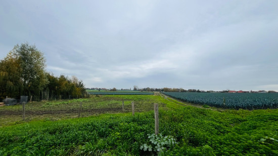 Oostrozebekestraat - 167-173 - LOT 6 - 8760