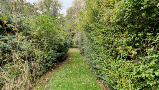 Desselgemseweg - 151 - - 8790