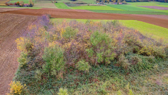 Diestsesteenweg - 54 - - 3390