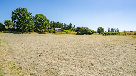 Copon Lot 3 - 0 - - 6680