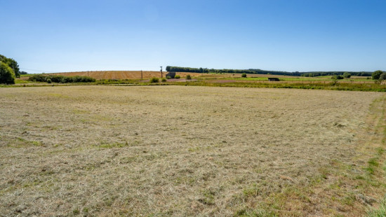 Copon Lot 3 - 0 - - 6680