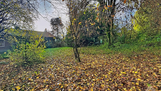 Rue de Bois-Seigneur-Isaac - 80 - - 1420