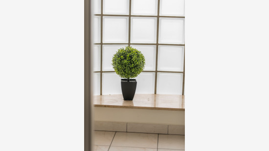 Sint-Antoniusstraat - 1 - 3 - 9100