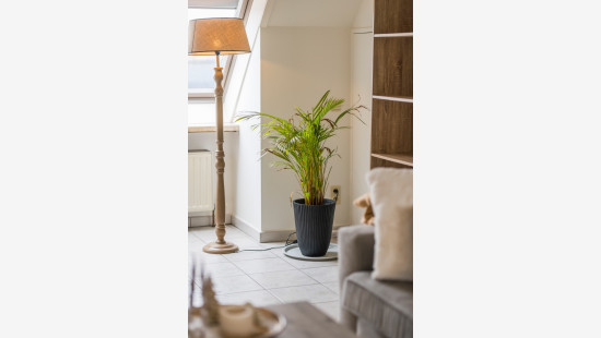 Sint-Antoniusstraat - 1 - 3 - 9100