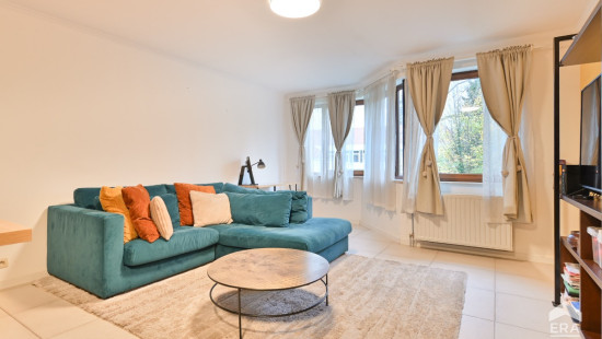 Gustave Van Huynegem 29 - 29 - - 1090