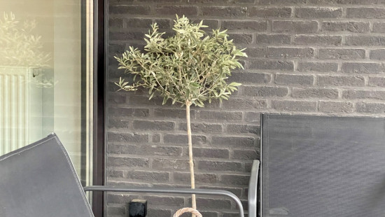 Oudenaardsesteenweg - 64 - 0021 - 8500