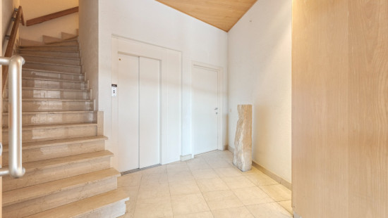 Markt - 1 - 31 - 8790