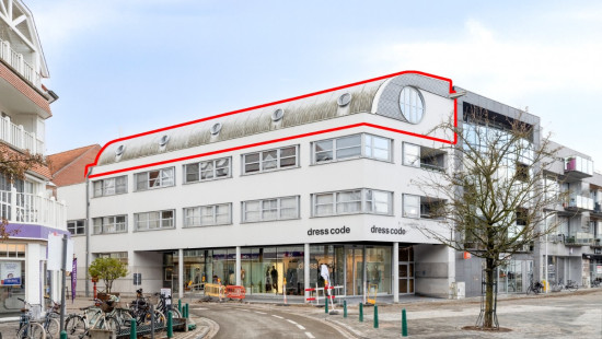 Markt - 1 - 31 - 8790