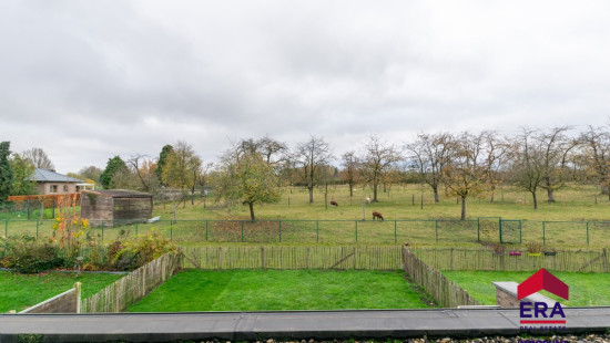 Ovelingenstraat - 7 - - 3800