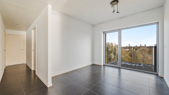 Brilduikerstraat - 4 - 501 - 2050