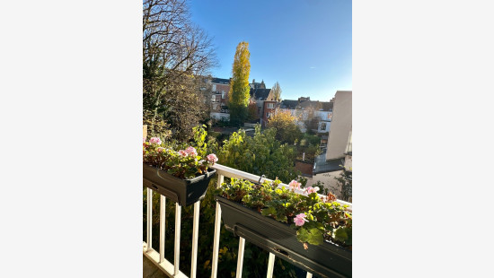 Molenstraat - 72 - - 2018