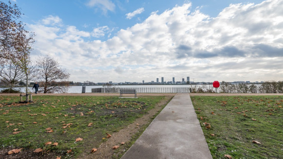 Brilduikerstraat - 4 - 501 - 2050